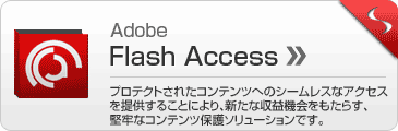 Fla���� Access
